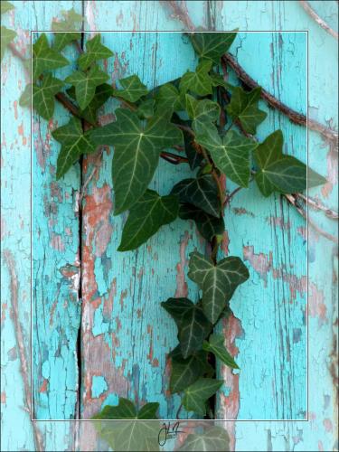 _30x40_PANA1852_00_Jean-Luc Neulat Photographie