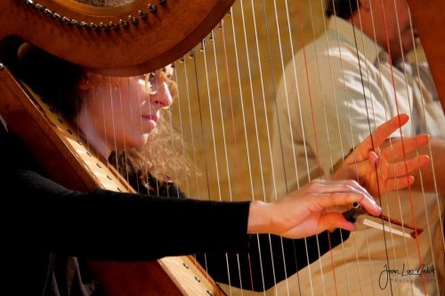 Harpo_Festival des chapelle_2024