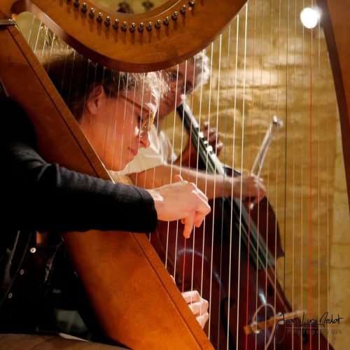 Harpo_Festival des chapelle_2024