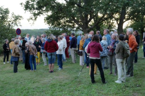 Harpo_Festival des chapelle_2024